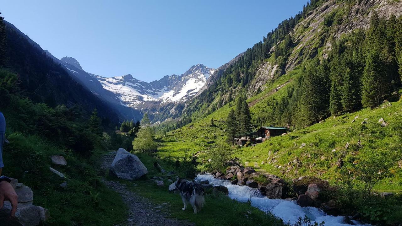 Eberl'S Zirbenlodge Ginzling Ngoại thất bức ảnh