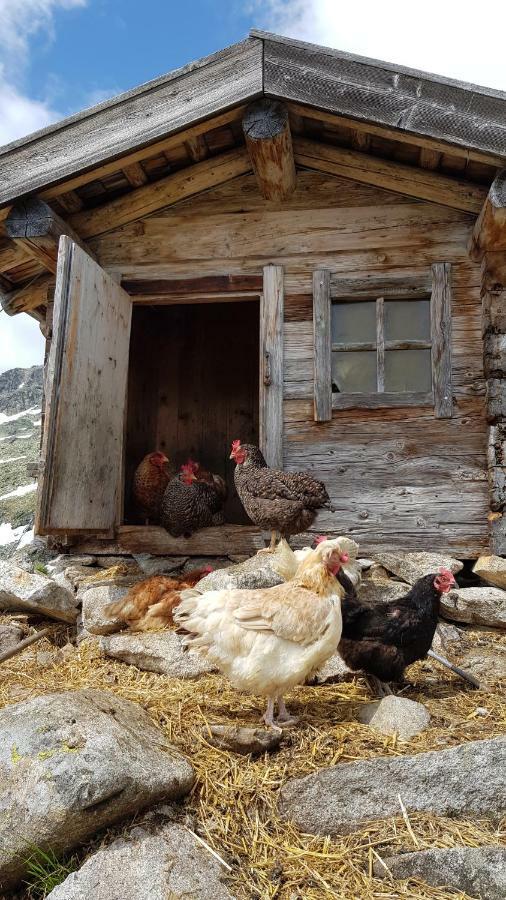 Eberl'S Zirbenlodge Ginzling Ngoại thất bức ảnh