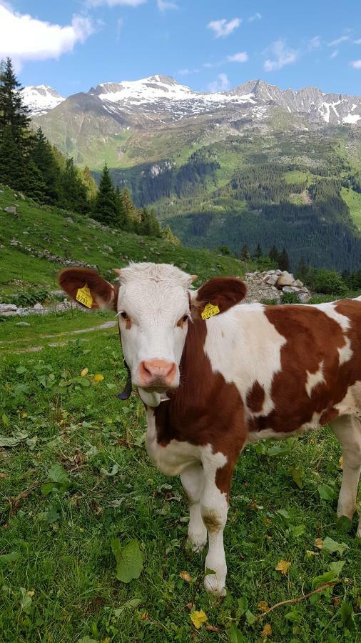 Eberl'S Zirbenlodge Ginzling Ngoại thất bức ảnh